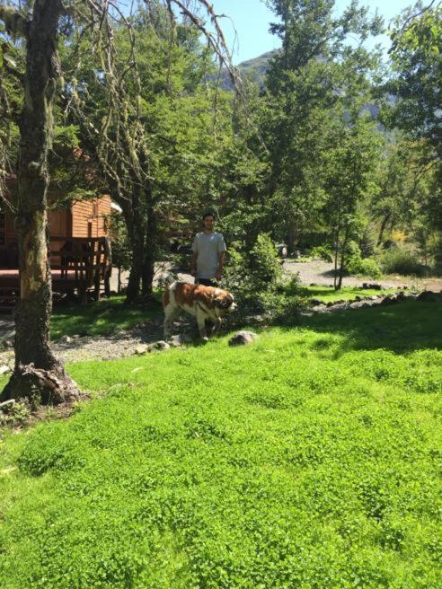 Cabanas Saint Bernard Chillán